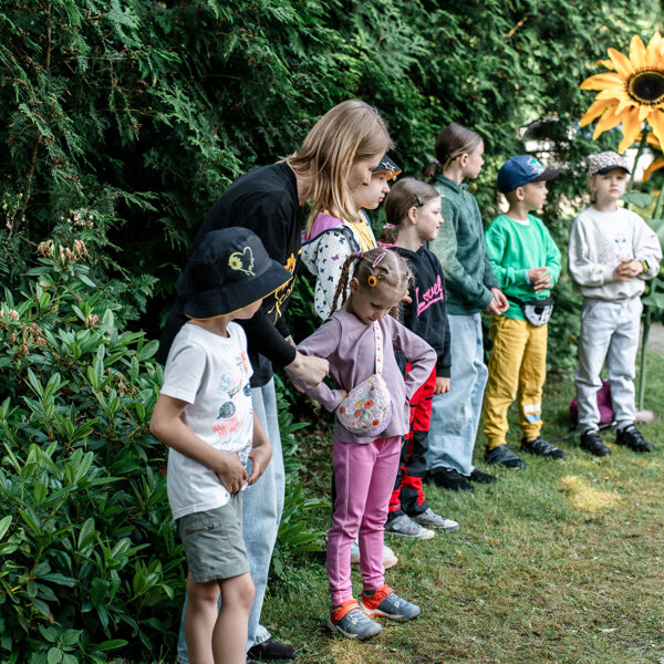 Saulespuķe 5. diena